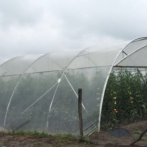 Import Grecia: FOLIE SOLAR, 150micr, 3 Ani Garantie, UV+EVA,