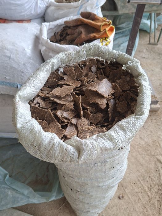 Семичка кунжола с