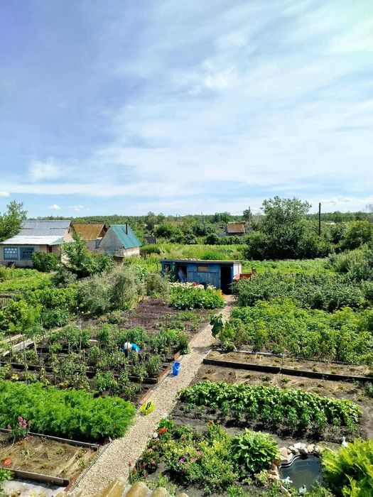 продам дачу с/о Борки