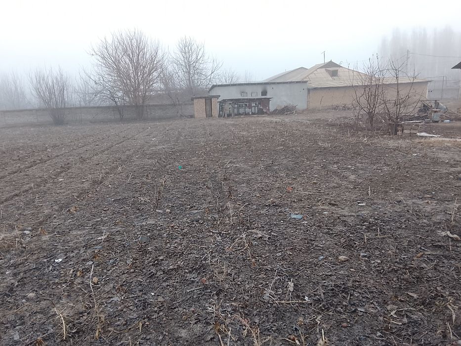 Срочна котта йеримиза сотилади 37 сотих