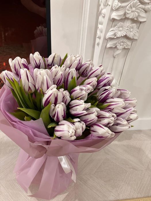 Свежий тюльпан 31 шт