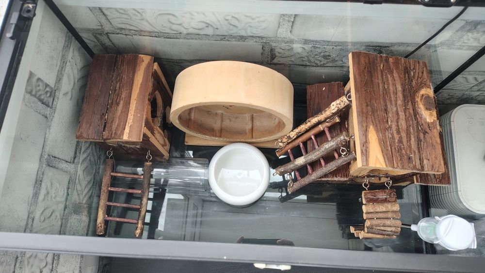 Vând acvariu pești 60 litri sau hamsteri (cușcă hamsteri).