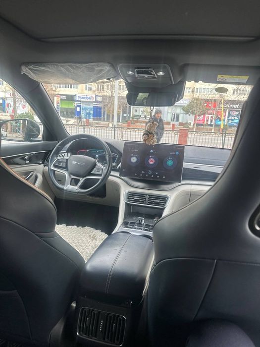 Byd champion qora 2024