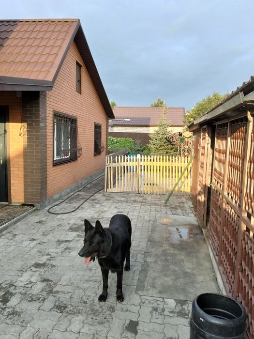 Дом продам или поменяю на квартиру