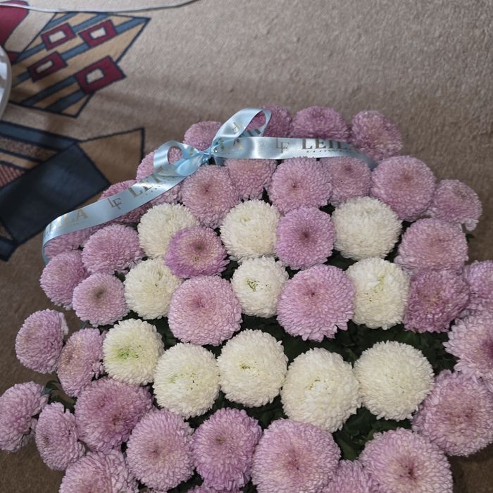 Хризантемы Момоко с буквой Ш или Е