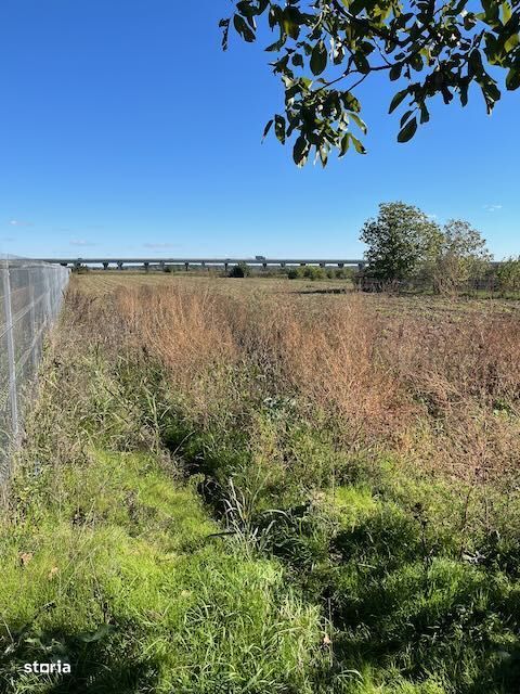 Teren industrial Caciulati-com. Moara Vlasiei, 10 min de Bucuresti