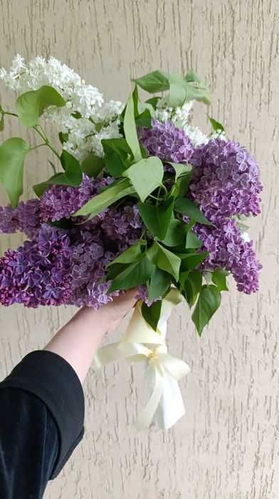 Веточки Ароматной Сирени на букет любимым