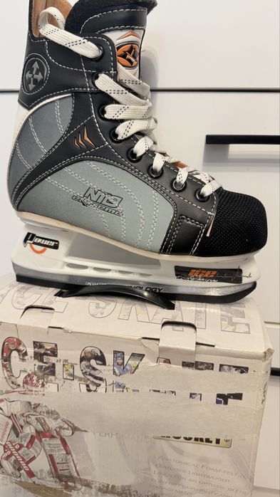 Patine gheata  hochei