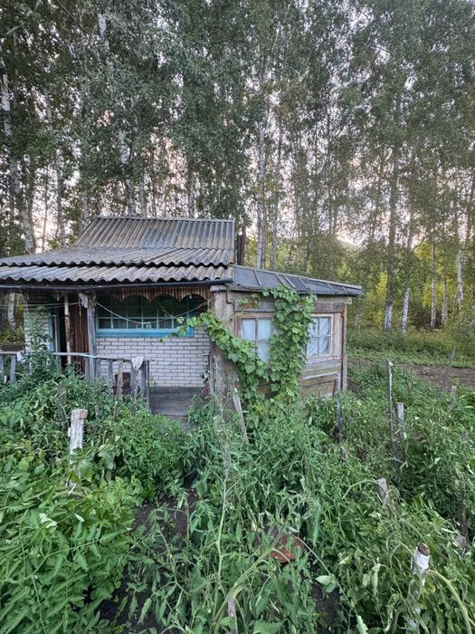 Продам дачный участок