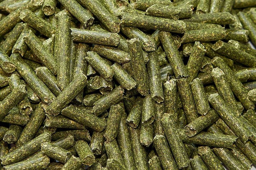 Гранулиран протеинов фураж DDGS