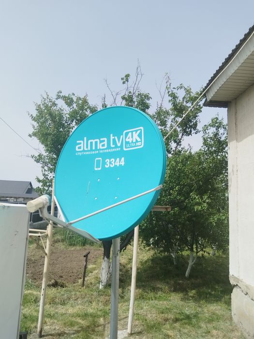 Продам алма тввв
