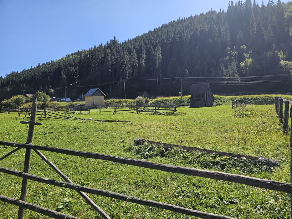 Teren Intravilan de vanzare in Bucovina Breaza