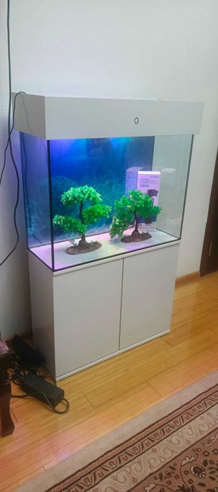 Bizda arzon va sifat Akvarium 150 yangi sotiladi