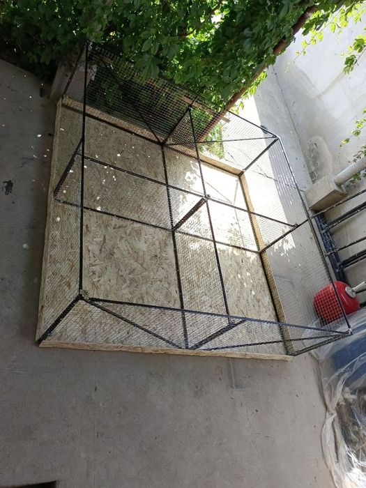 Manej sotiladi va zahazga yasab beriladi