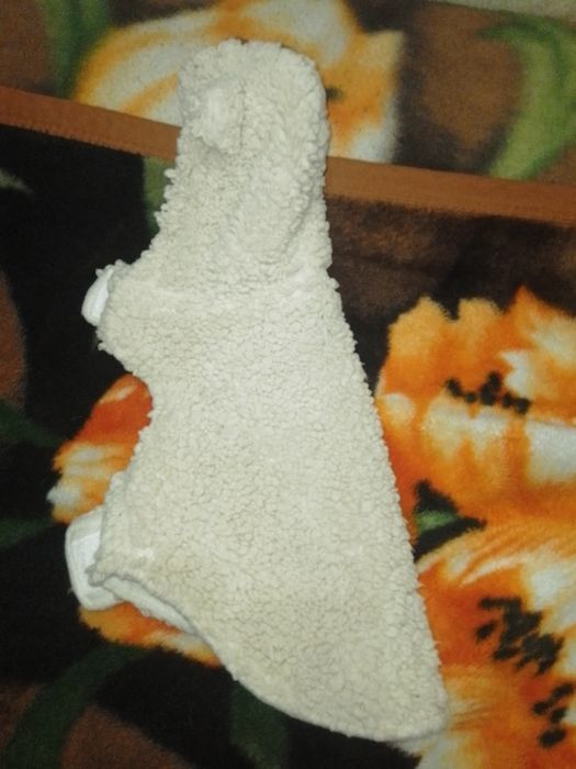 Одежда для собаки