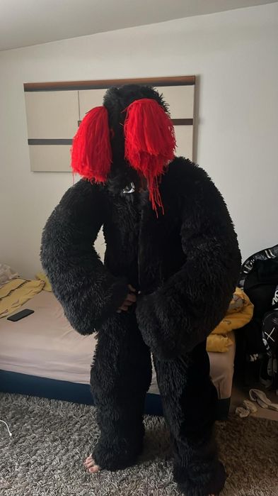 vand costum urs in stare buna