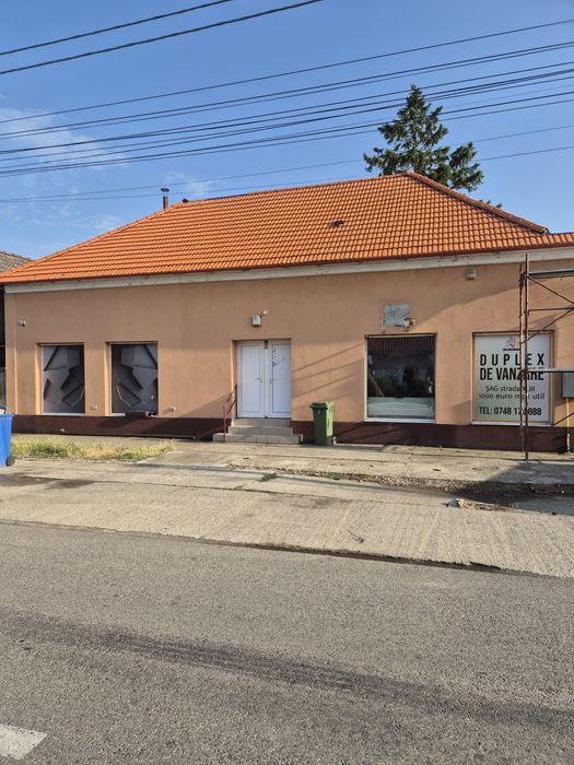 Reabilitari acoperisuri