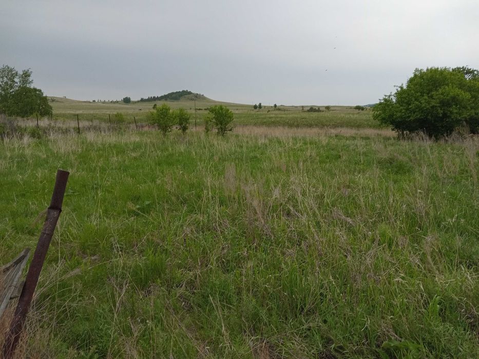 Земельный участок в Боровом