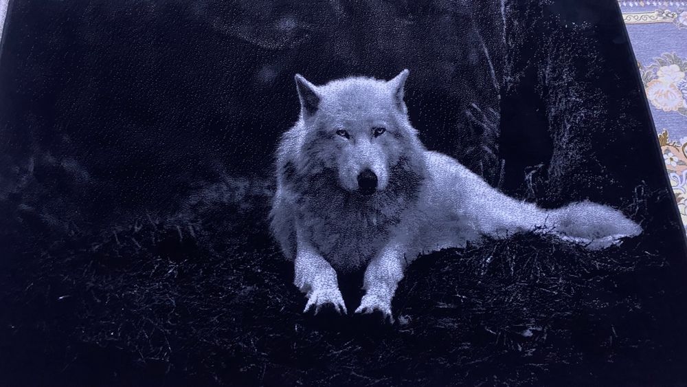 Ковер плюшевый