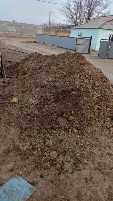 Навоз сиырдыкі..