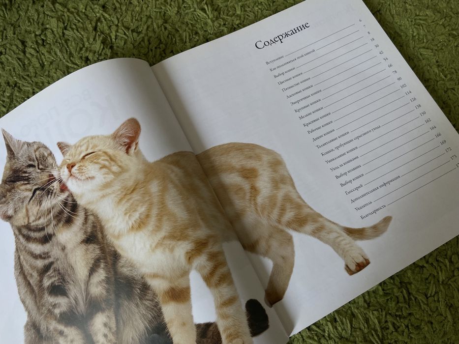книга все породы кошек