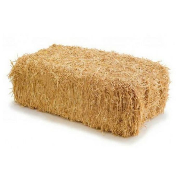 Сомон сотилади.