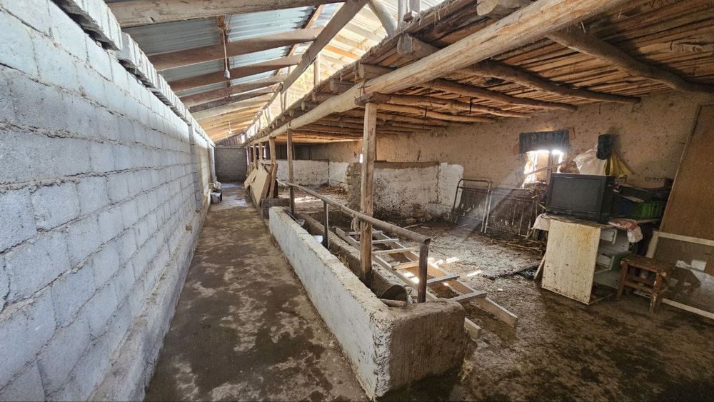 Ховли Участка сотилади срочно Юкоричирчик тумани 80ота 8сотих