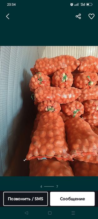 Картошка 220 тенгеден