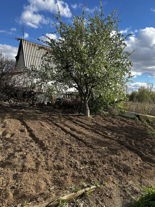 Продам дачу Бам Горняк