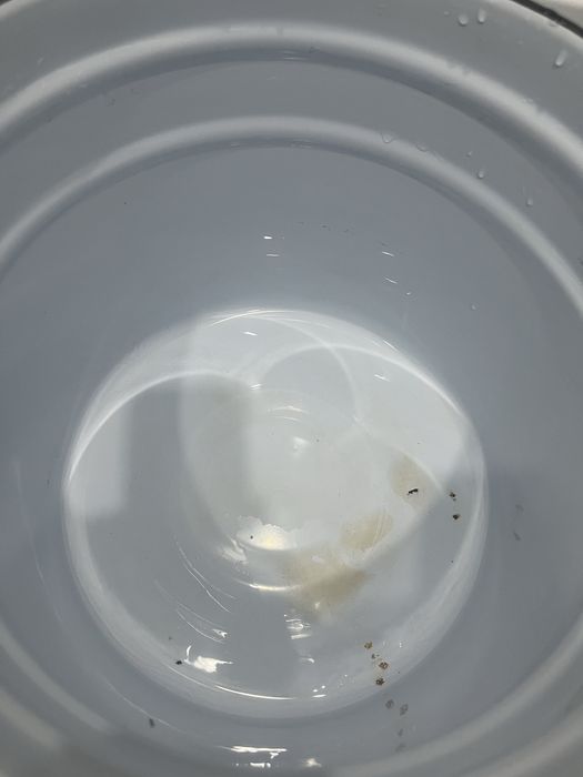 Продам кастрюлю .