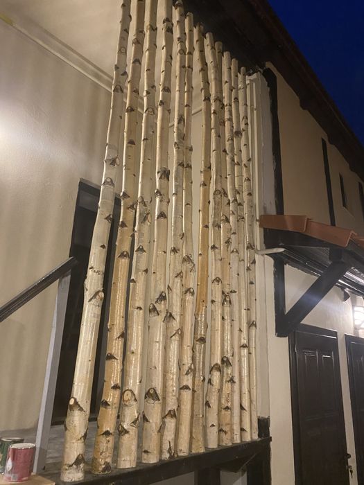 Lemn de mesteacan mesteacan decorativ trunchi mesteacan crengi rondele