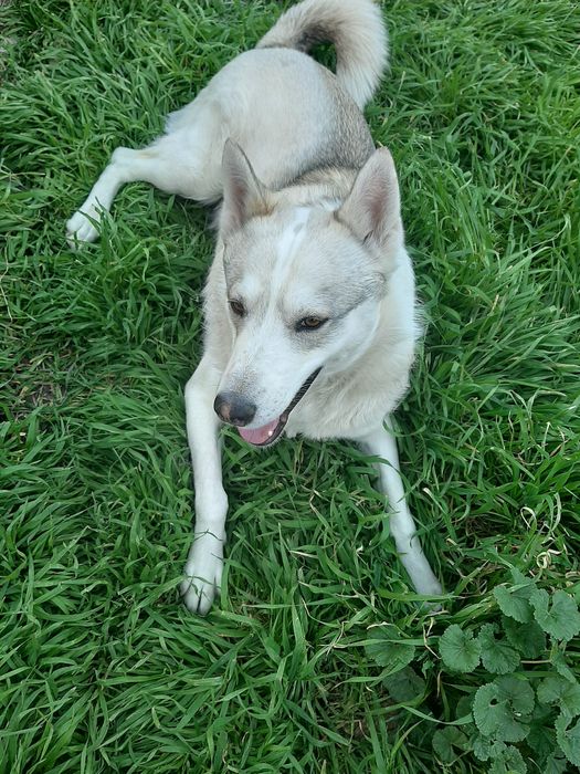 Розыск!!! Прошу помогите найти