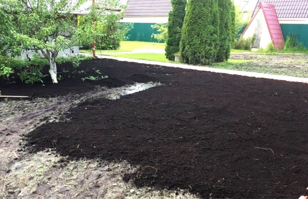 Pământ negru ( vegetal )