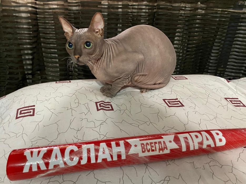 Именные биты падарок