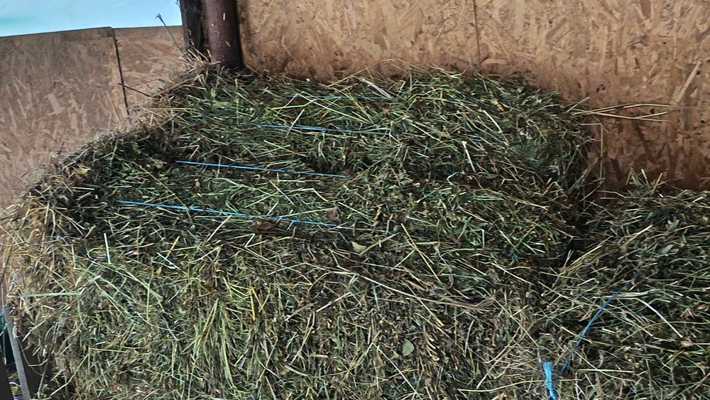 De vanzare baloti de fân