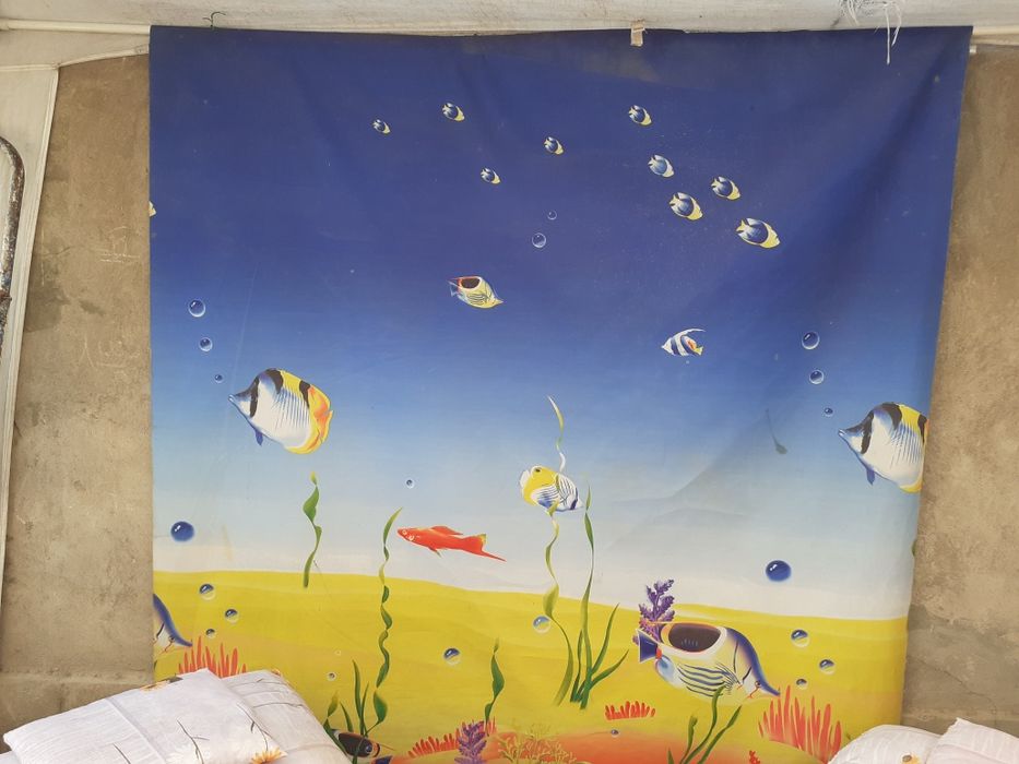 Большие жалюзи на окна или можно на стену