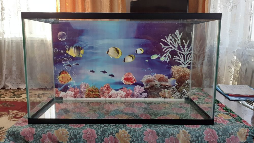 Новые аквариумы, рыбки