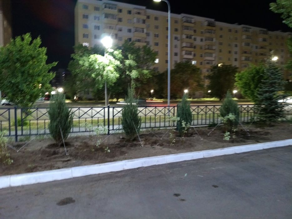 Озеленение территорий