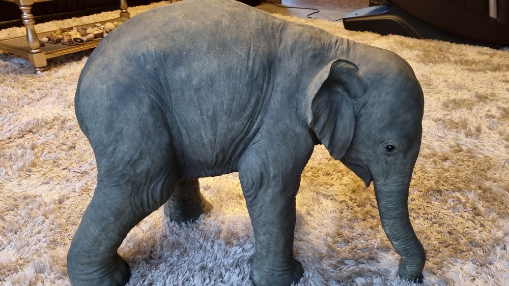 elefant fibra fibra de sticla si compozit