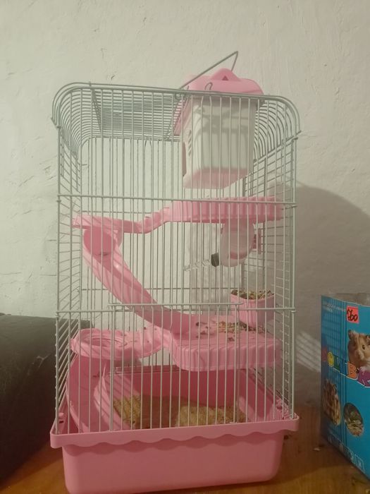 Продам хомяка с клеткой