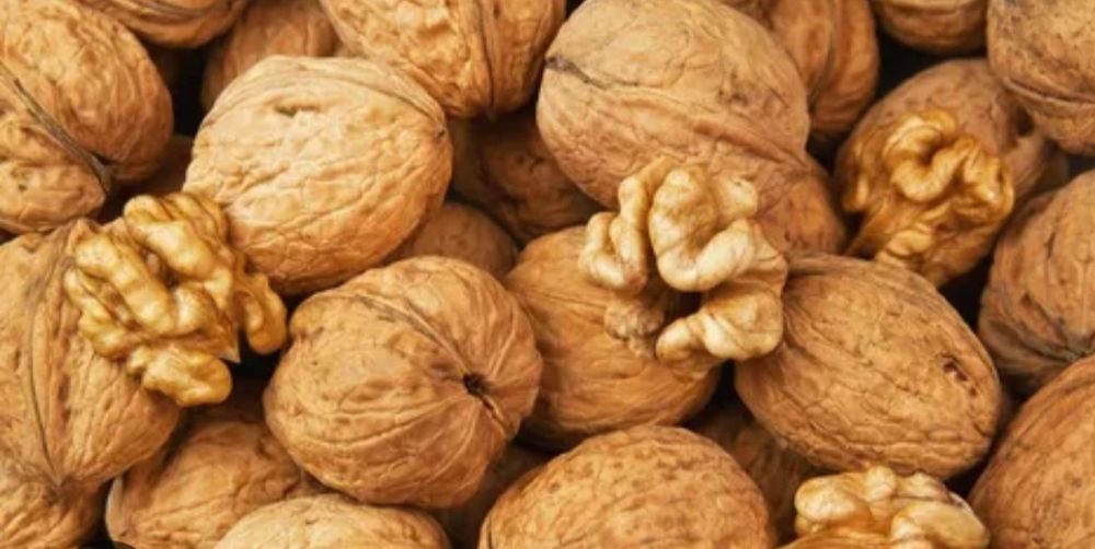 Жаңғақ 550 теңгеден