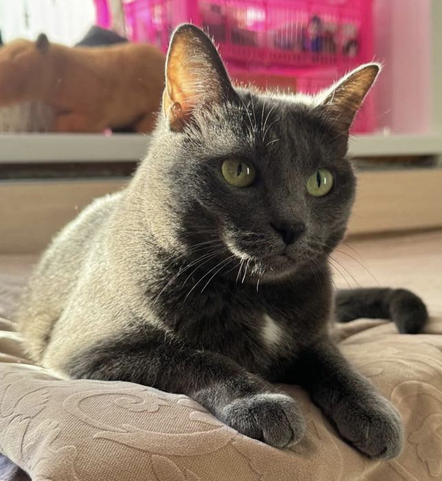 Дарим счастье, тепло, заботу