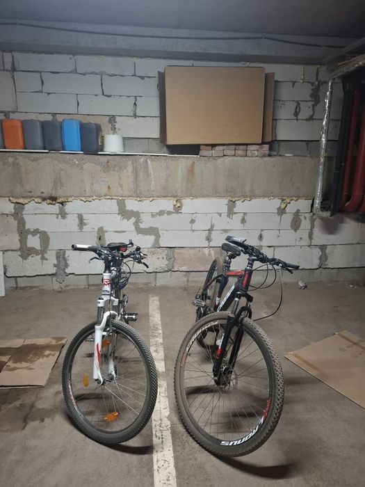 Велики очень отличные