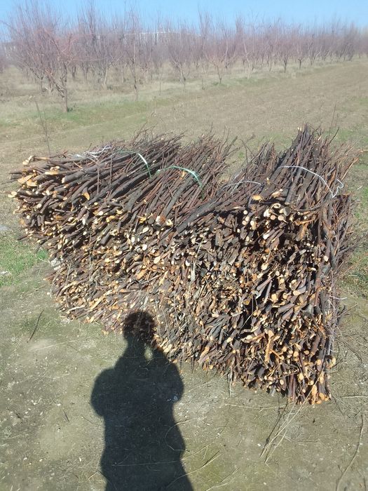 Утин тандирга сотилади