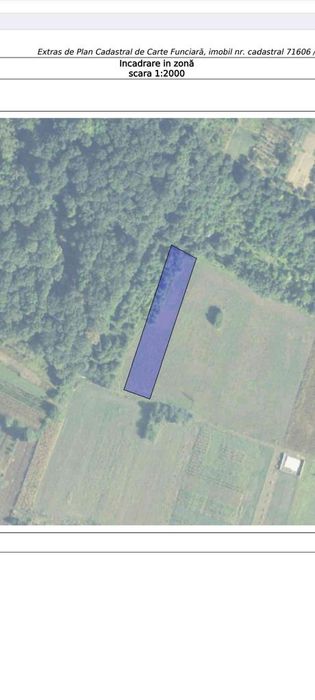 Teren Magurele Central Padure