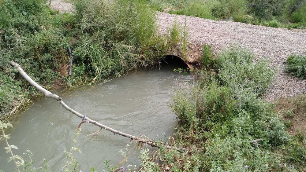 Срочно Продается Участок в Пскенте Цена Договорная.