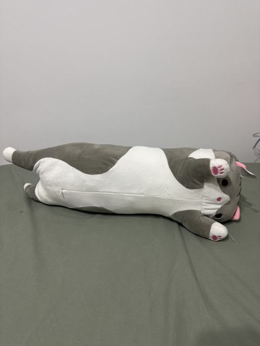 Plus cu paturica ascunsa