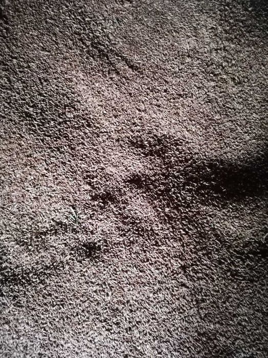 Vând Grâu recoltă proprie 2025