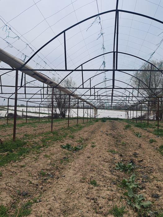 Парник сатылады бағасы келісімді