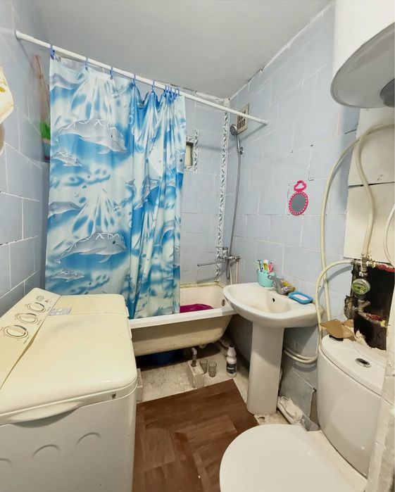 Зеленый бор. Сарыарка 10